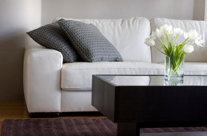 Furniture and Upholstery Cleaning Olympia WA